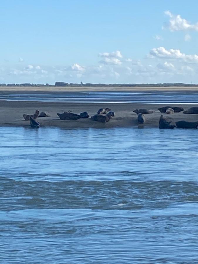 Appartamento Cote Port Le Crotoy Esterno foto